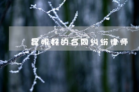 昆明好的合同纠纷律师 昆明好的合同纠纷律师