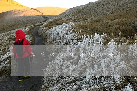 昆明婚姻律师哪家强 昆明婚姻律师哪家强