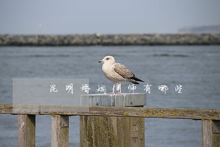 昆明婚姻律师有哪些 昆明婚姻律师有哪些