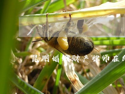 昆明婚姻财产律师在线咨询电话 昆明婚姻财产律师在线咨询电话