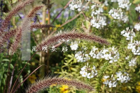 昆明安胜律师事务所