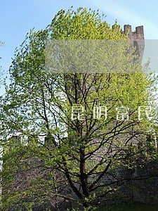 昆明富民县债务专业律师 昆明富民县债务专业律师