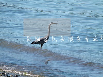 昆明富民县债务专业律师推荐 昆明富民县债务专业律师推荐