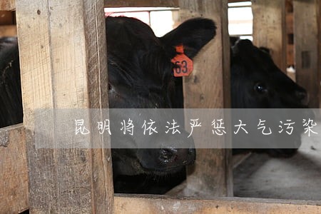 昆明将依法严惩大气污染违法行为