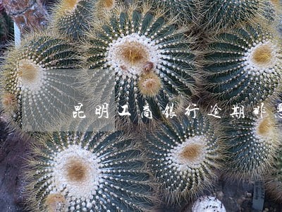 昆明工商银行逾期非恶意证明 昆明工商银行逾期非恶意证明