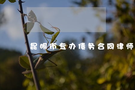 昆明市专办债务合同律师哪里找 昆明市专办债务合同律师哪里找