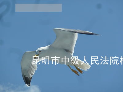昆明市中级人民法院杨国辉 昆明市中级人民法院杨国辉