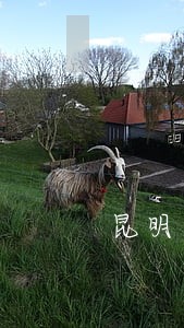 昆明市五华区司法局班子 昆明市五华区司法局班子