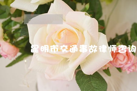 昆明市交通事故律师咨询热线