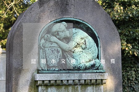 昆明市交通违法缴费 昆明市交通违法缴费