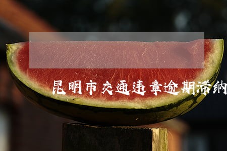 昆明市交通违章逾期滞纳金 昆明市交通违章逾期滞纳金