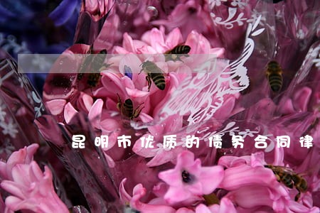 昆明市优质的债务合同律师事务所 昆明市优质的债务合同律师事务所