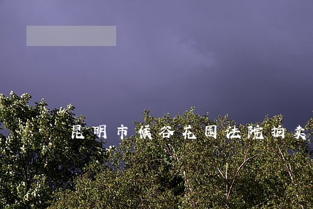 昆明市候谷花园法院拍卖信息 昆明市候谷花园法院拍卖信息