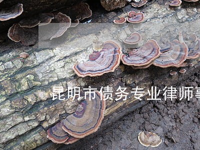 昆明市债务专业律师事务所 昆明市债务专业律师事务所
