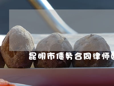 昆明市债务合同律师团队 昆明市债务合同律师团队