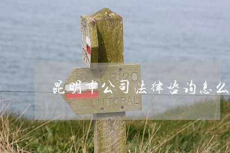 昆明市公司法律咨询怎么收费