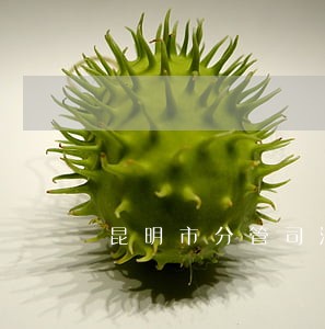 昆明市分管司法副市长 昆明市分管司法副市长