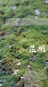 昆明市刑事案件律师咨询免费 昆明市刑事案件律师咨询免费