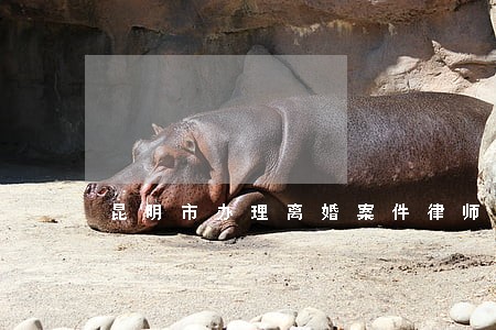 昆明市办理离婚案件律师费