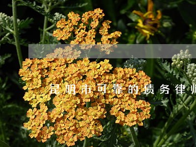 昆明市可靠的债务律师联系方式 昆明市可靠的债务律师联系方式