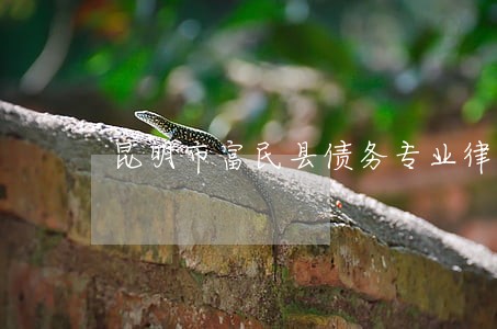 昆明市富民县债务专业律师 昆明市富民县债务专业律师