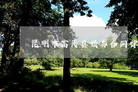 昆明市富民县债务合同律师排名 昆明市富民县债务合同律师排名