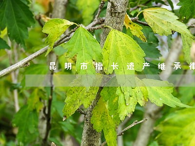 昆明市擅长遗产继承律师 昆明市擅长遗产继承律师