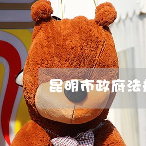 昆明市政府法规 昆明市政府法规
