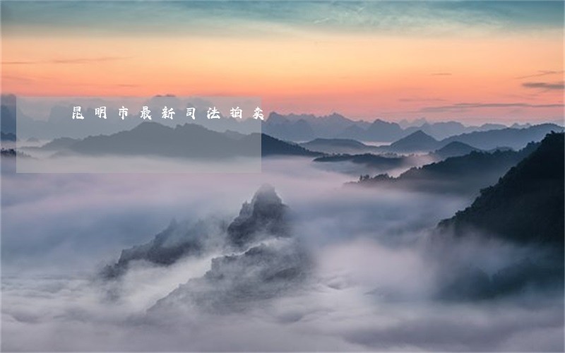 昆明市最新司法拍卖 昆明市最新司法拍卖