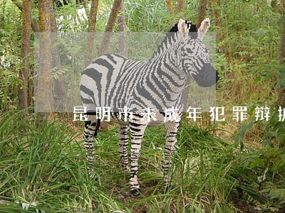 昆明市未成年犯罪辩护律师网站 昆明市未成年犯罪辩护律师网站