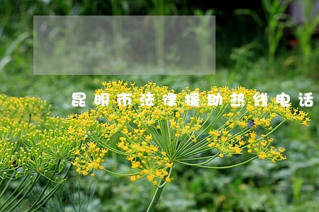 昆明市法律援助热线电话 昆明市法律援助热线电话