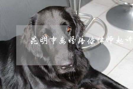 昆明市离婚赔偿律师起诉费用 昆明市离婚赔偿律师起诉费用