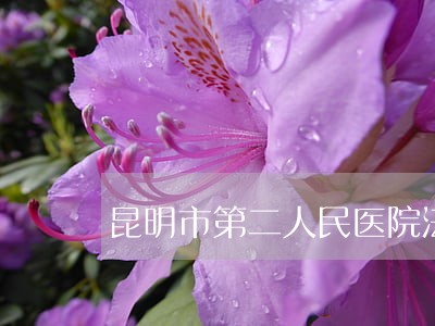 昆明市第二人民医院法律顾问
