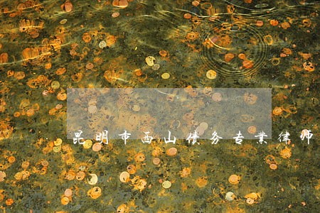 昆明市西山债务专业律师联系方式 昆明市西山债务专业律师联系方式