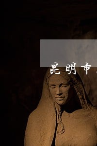 昆明市遗产纠纷诉讼咨询律师