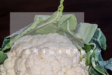 昆明年检逾期罚款多少