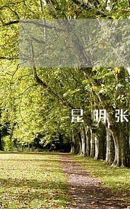 昆明张明艳律师网