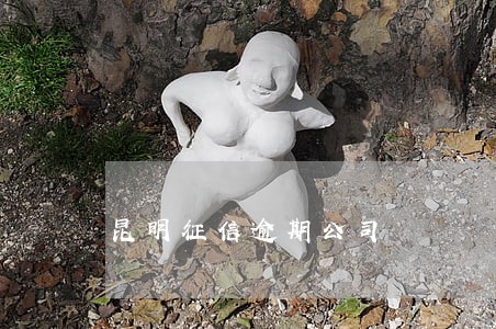 昆明征信逾期公司 昆明征信逾期公司