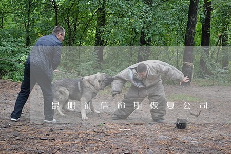 昆明征信逾期恢复公司