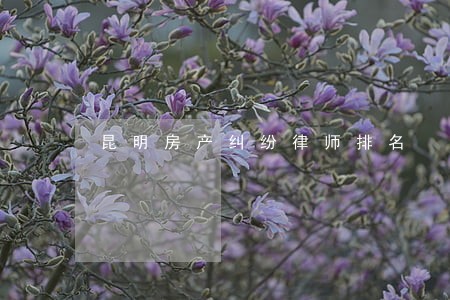 昆明房产纠纷律师排名 昆明房产纠纷律师排名
