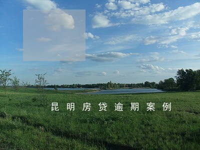 昆明房贷逾期案例