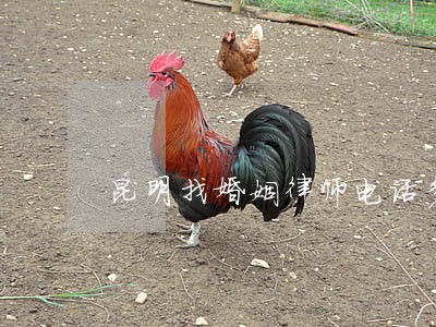 昆明找婚姻律师电话多少 昆明找婚姻律师电话多少