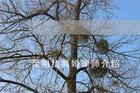 昆明找离婚律师介绍 昆明找离婚律师介绍