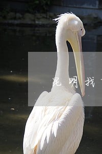 昆明找离婚律师联系方式 昆明找离婚律师联系方式