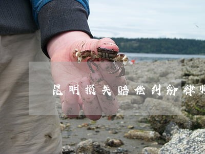昆明损失赔偿纠纷律师推荐 昆明损失赔偿纠纷律师推荐