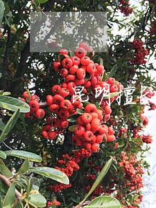 昆明擅长债务纠纷律师哪个好 昆明擅长债务纠纷律师哪个好