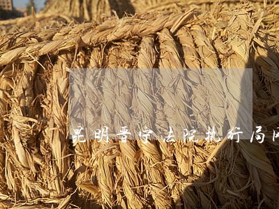 昆明晋宁法院执行局网址 昆明晋宁法院执行局网址