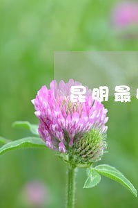 昆明最好离婚律师排名
