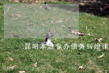 昆明本地专办债务纠纷律师多少钱 昆明本地专办债务纠纷律师多少钱