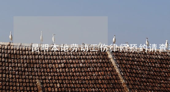 昆明本地劳动工伤律师预约请查看 昆明本地劳动工伤律师预约请查看